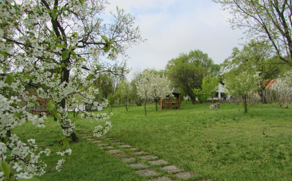 Szigligeti Panorama Apartmanhaz Екстериор снимка